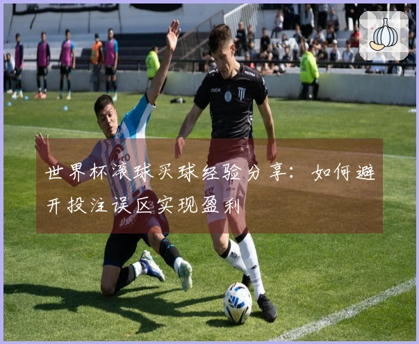 世界杯滚球买球经验分享：如何避开投注误区实现盈利