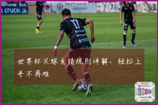 世界杯买球竞猜规则详解，轻松上手不再难