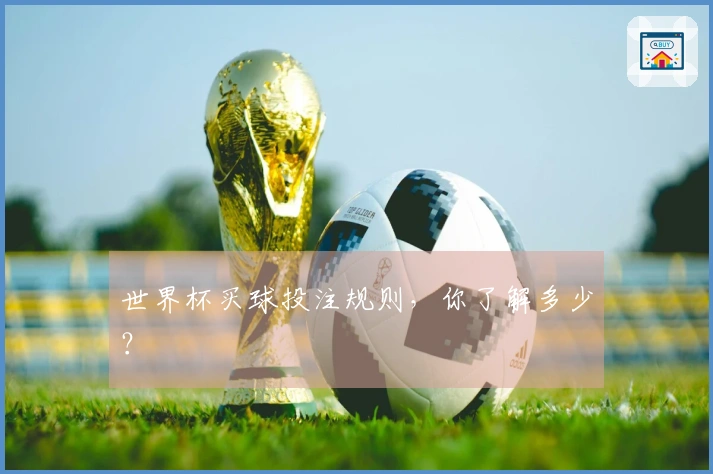 世界杯买球投注规则，你了解多少？