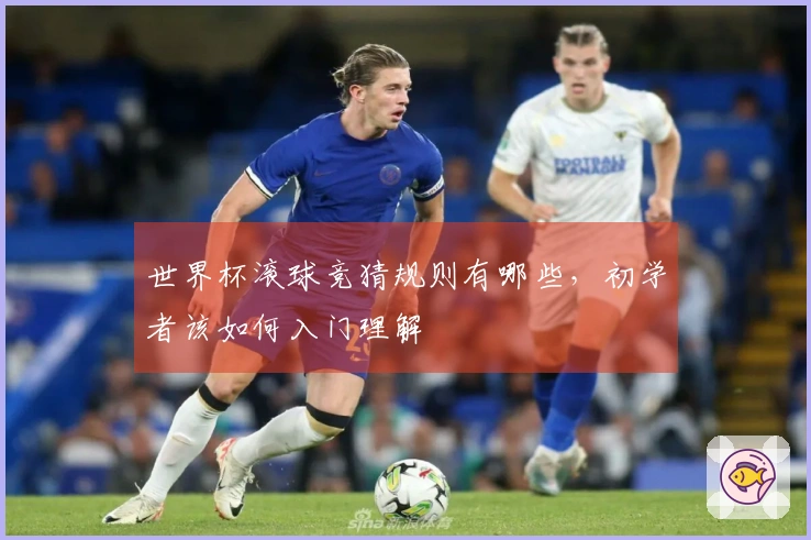 世界杯滚球竞猜规则有哪些，初学者该如何入门理解