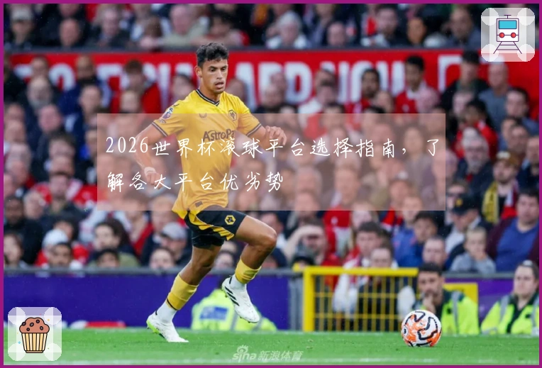 2026世界杯滚球平台选择指南，了解各大平台优劣势