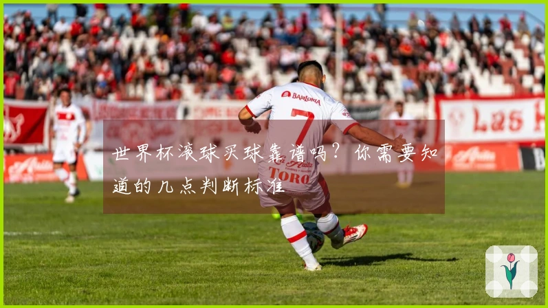 世界杯滚球买球靠谱吗？你需要知道的几点判断标准