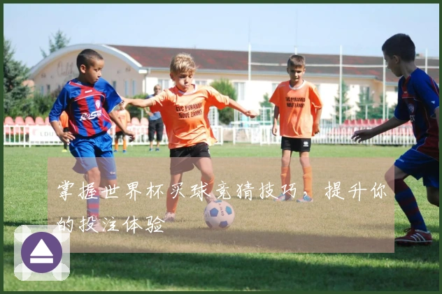 掌握世界杯买球竞猜技巧，提升你的投注体验