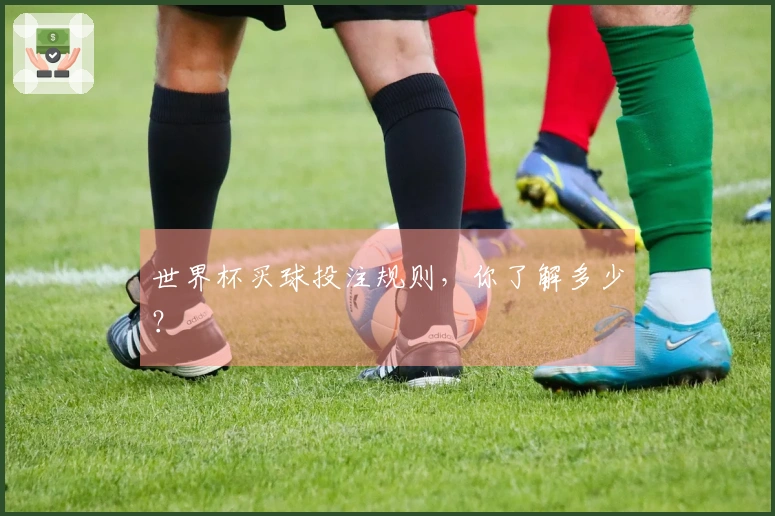 世界杯买球投注规则，你了解多少？