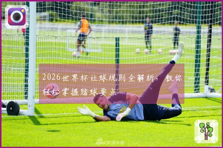 2026世界杯让球规则全解析，教你轻松掌握赌球要点