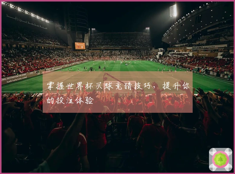 掌握世界杯买球竞猜技巧，提升你的投注体验